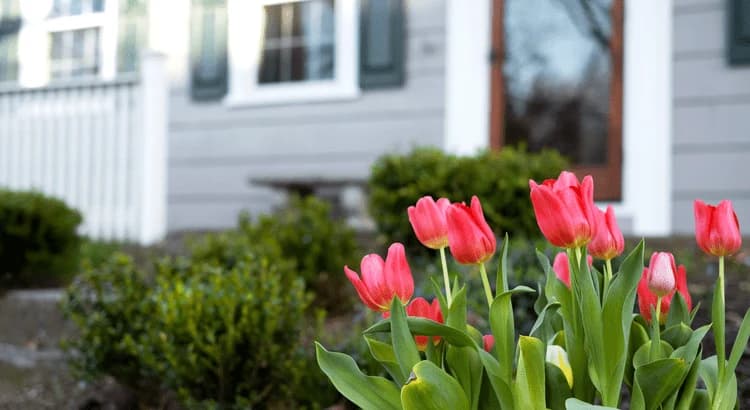 Spring Sellers Have an Edge. Here’s Why.