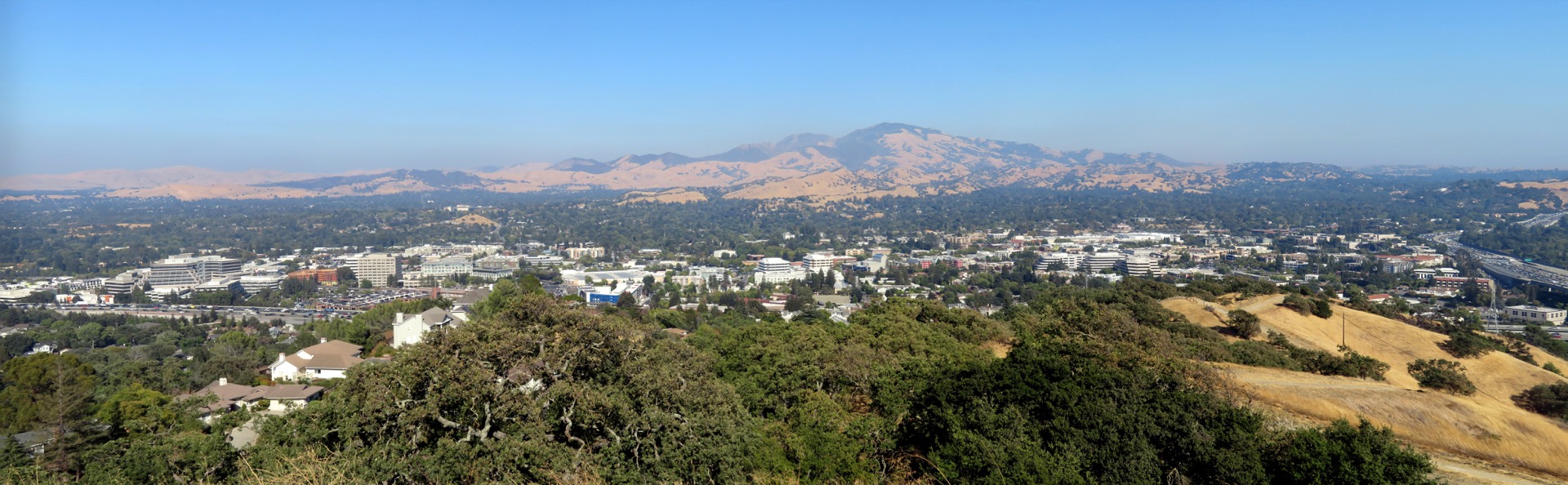 Walnut Creek and Mount Diablo viewed from a hillside